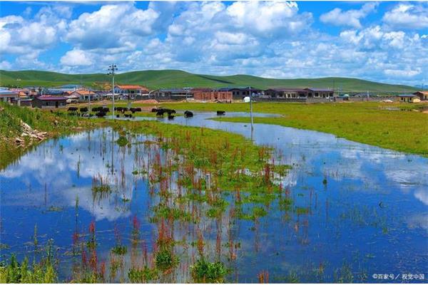 甘南花湖攻略 諾爾蓋花湖攻略