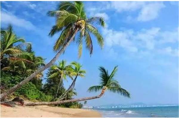 三亞 寒假旅游攻略