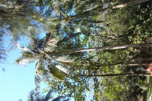 山西-海南自駕游攻略