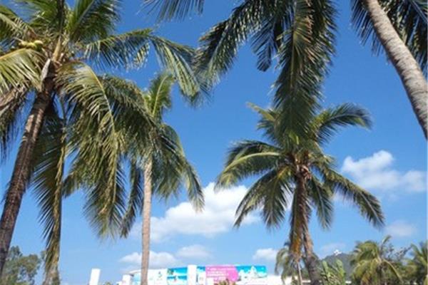 山西-海南自駕游攻略