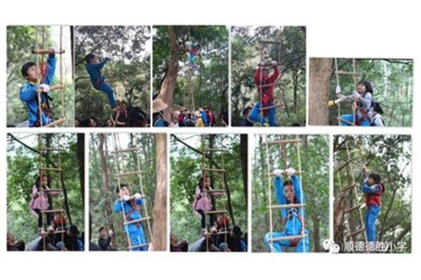 叢林運(yùn)動會攻略