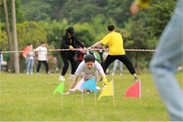 叢林運(yùn)動會攻略