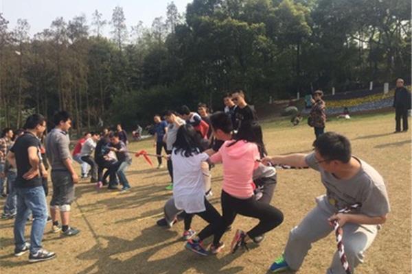 叢林運(yùn)動會攻略