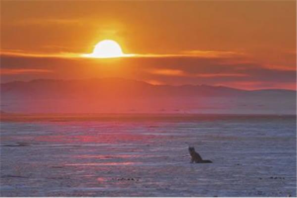 北海潿洲島德天鵝泉攻略