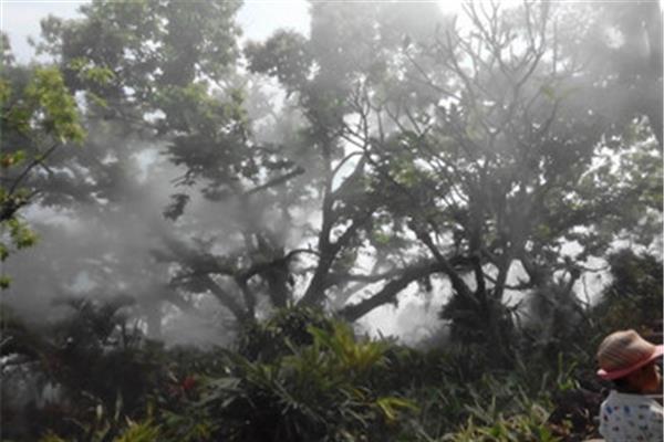 青秀山一日游攻略