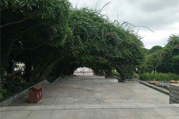 青秀山一日游攻略