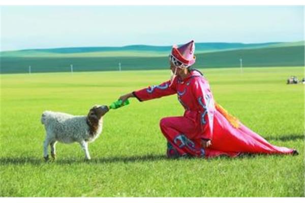 7月去呼倫貝爾大草原穿衣攻略