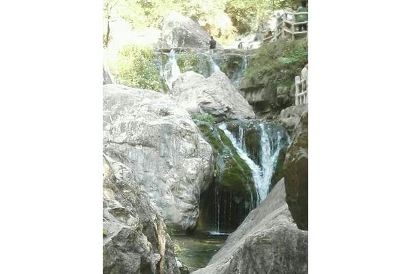 ƿh̶ٍ{^(q) ̶ٍ{^(q)(jin)