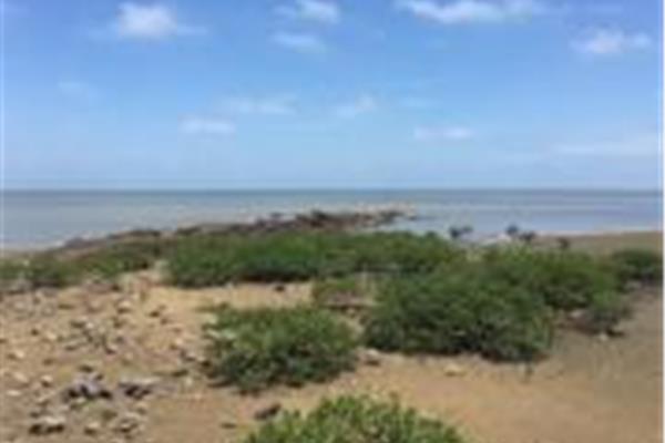 防城自駕游攻略行程