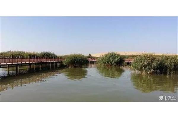 二連浩特自駕旅游攻略