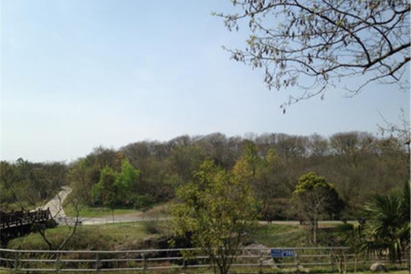 南京傅家邊攻略