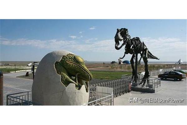 二連浩特自駕旅游攻略