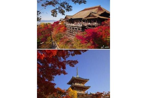 ձձ L(zhng)ձҪL(zhng)r(sh)g