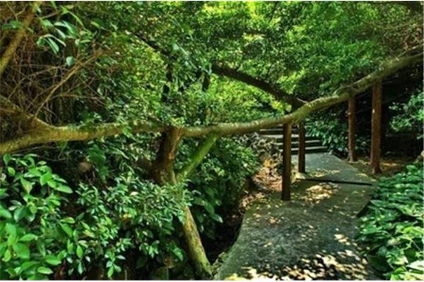 ̩ɽӇ(gu)HB(ti)ζȼم^(q) (gu)HB(ti)ζȼم^(q)