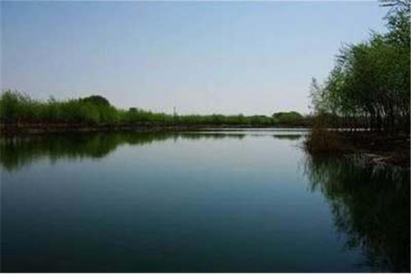 (ni)ɹźͺ߅ξc(din)ȫ