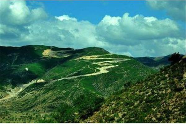 (ni)ɹźͺ߅ξc(din)ȫ