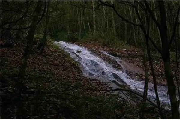 雷公坪徒步路線攻略