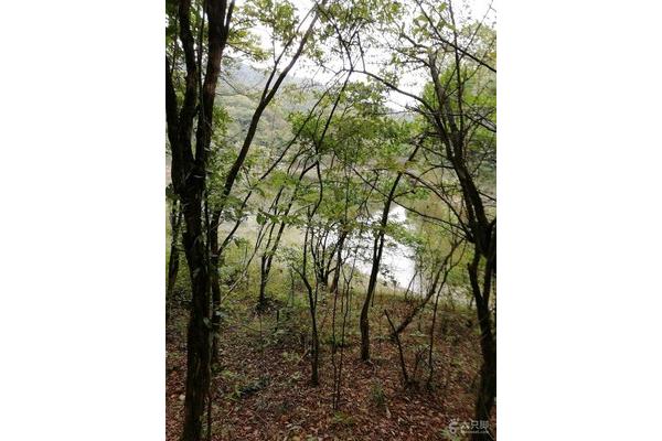 雷公坪徒步路線攻略