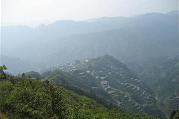 雷公坪徒步路線攻略