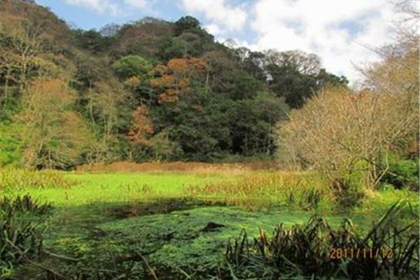 雷公坪徒步路線攻略