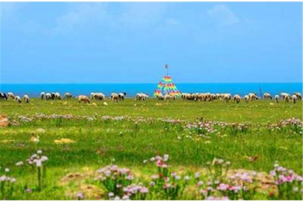 夏季青海三天旅游攻略