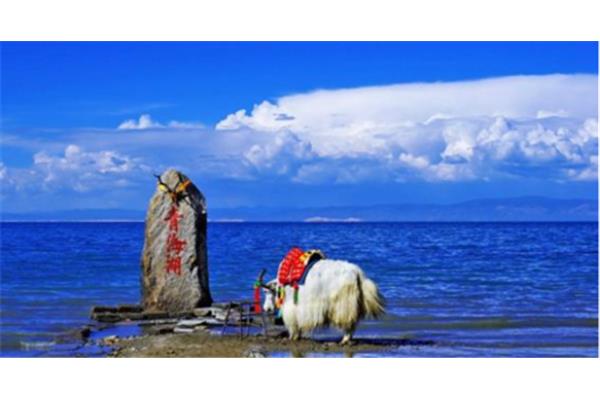 夏季青海三天旅游攻略