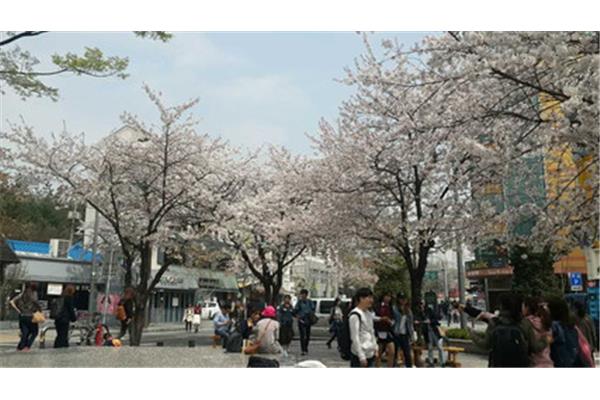 韓國梨花大學(xué)購物攻略