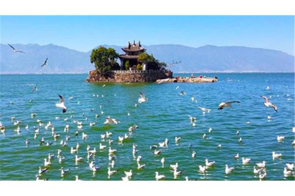 冬天玩云南攻略