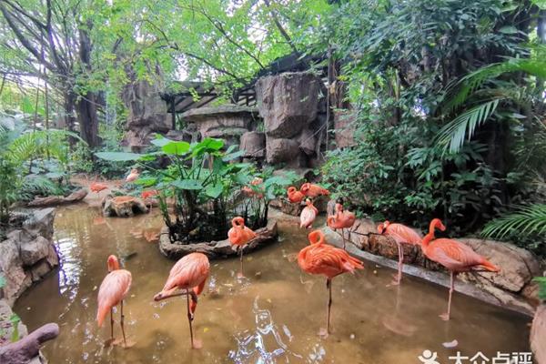 順德長(zhǎng)鹿農(nóng)莊游玩攻略