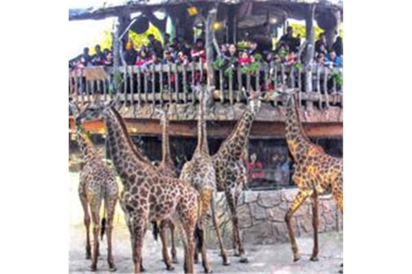 順德長(zhǎng)鹿農(nóng)莊游玩攻略