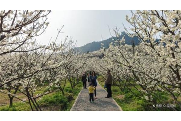 y(tng)ӡ 山ӡB(ti)΅^(q)