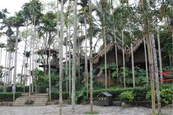 海南 檳榔谷攻略