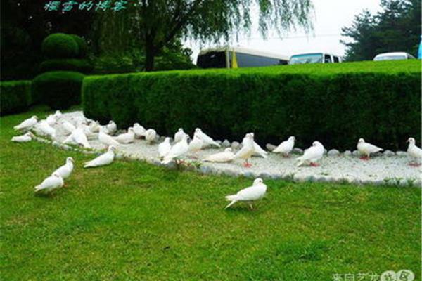 旅順口軍港旅游攻略