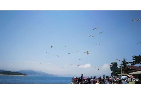 旅順口軍港旅游攻略