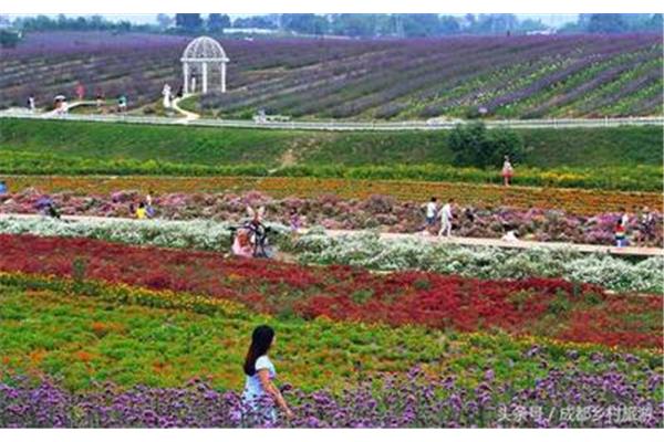 տr(nng)fι Sr(nng)fι