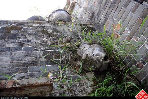 肇慶高要八卦村攻略