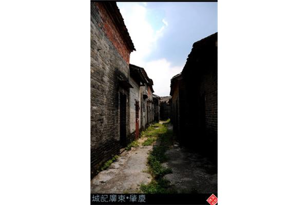 肇慶高要八卦村攻略