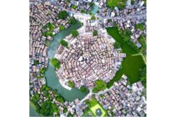 肇慶高要八卦村攻略