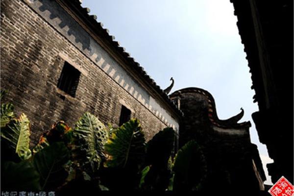 肇慶高要八卦村攻略